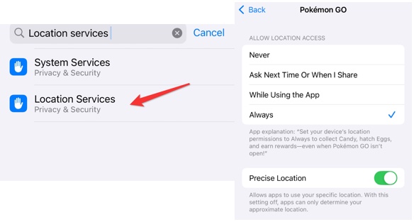allowing location permissions