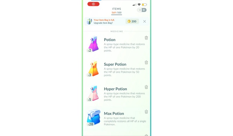 keeping bag with regular poke balls