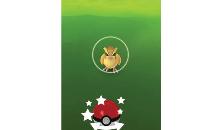 understand the throw circle timing