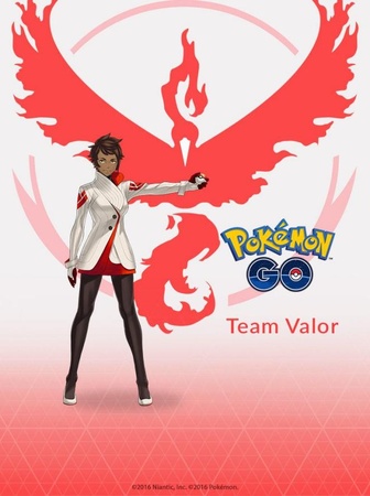 Valor Team for Premier Ball Pokemon