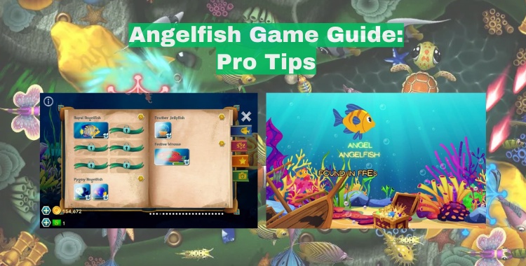 angelfish game upgrade tip