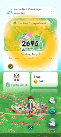 Confirm steps update in Pikmin Bloom