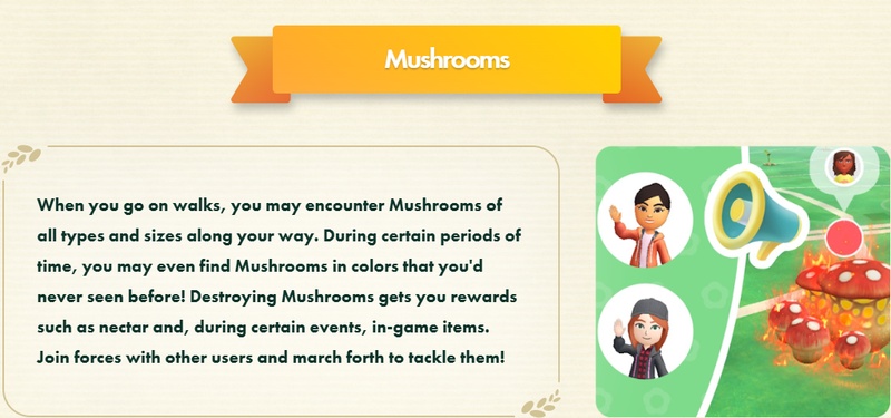 Mushroom Battles are a top draw