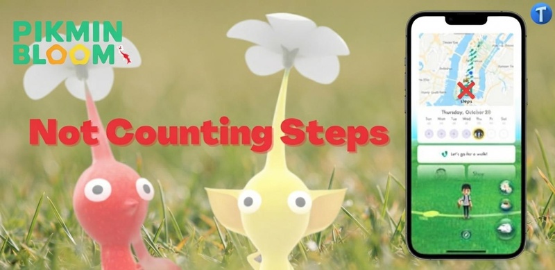 Steps stop counting despite long walk