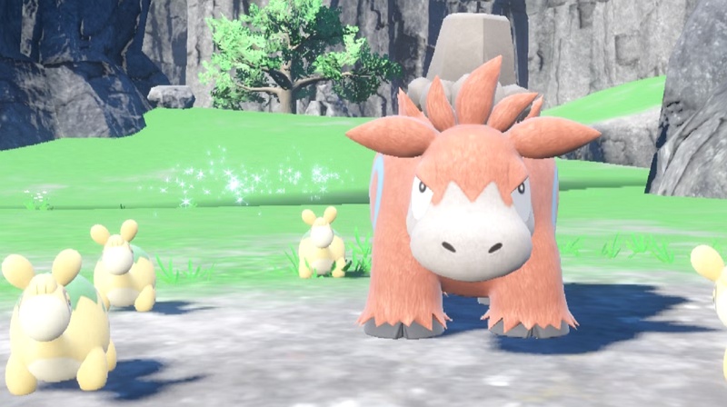 Camerupt Sunny Weather