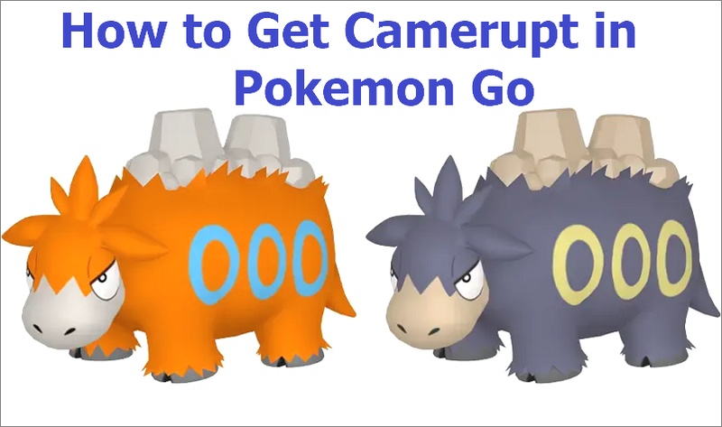How to get Camerupt