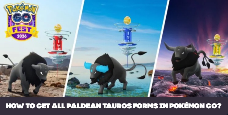Paldean Tauros forms at GO Fest 1