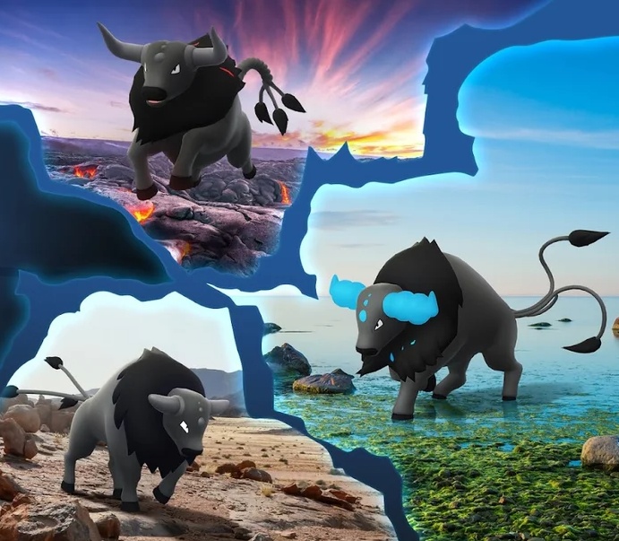 Paldean Tauros forms at GO Fest 2