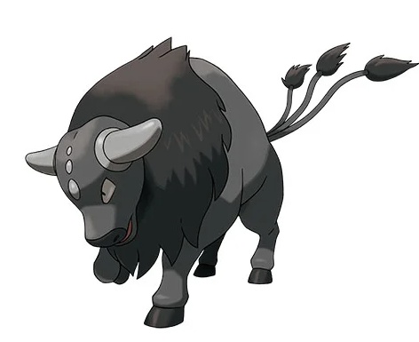 Seasoned players optimize Paldean Tauros capture