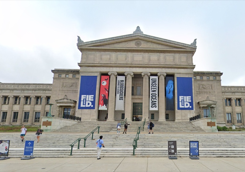 Shedd Aquarium in Chicago