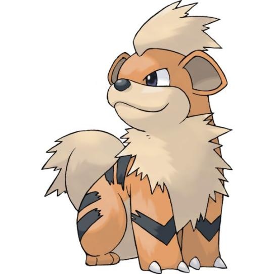 Small orange fire-type dog Pokémon