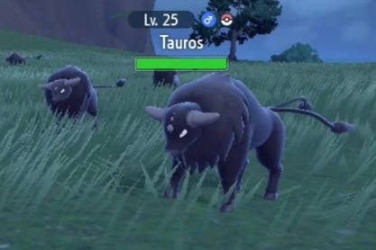 Trainers maximizing encounter rates efficiently