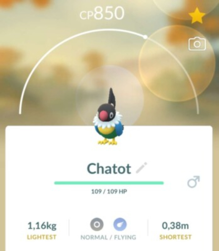 Chatot Pokemon GO