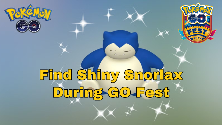 gofest-goordinaytesadasda-1