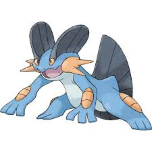Swampert / Kyogre