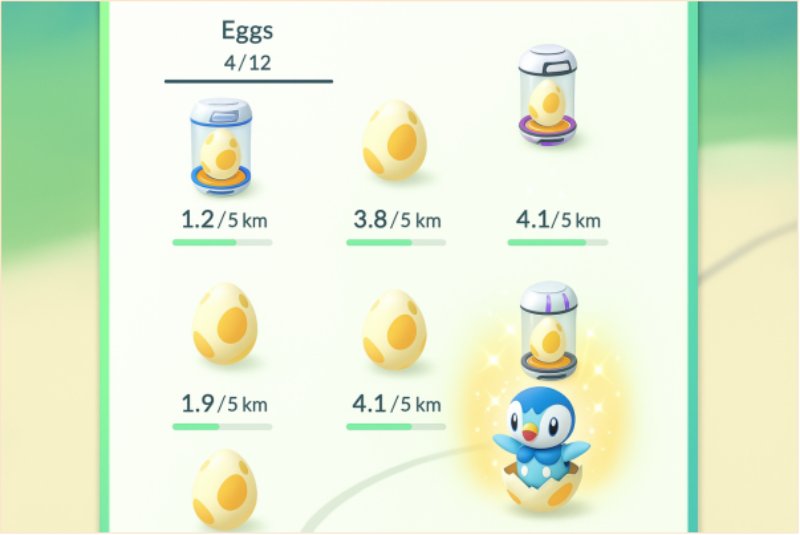 5km Eggs